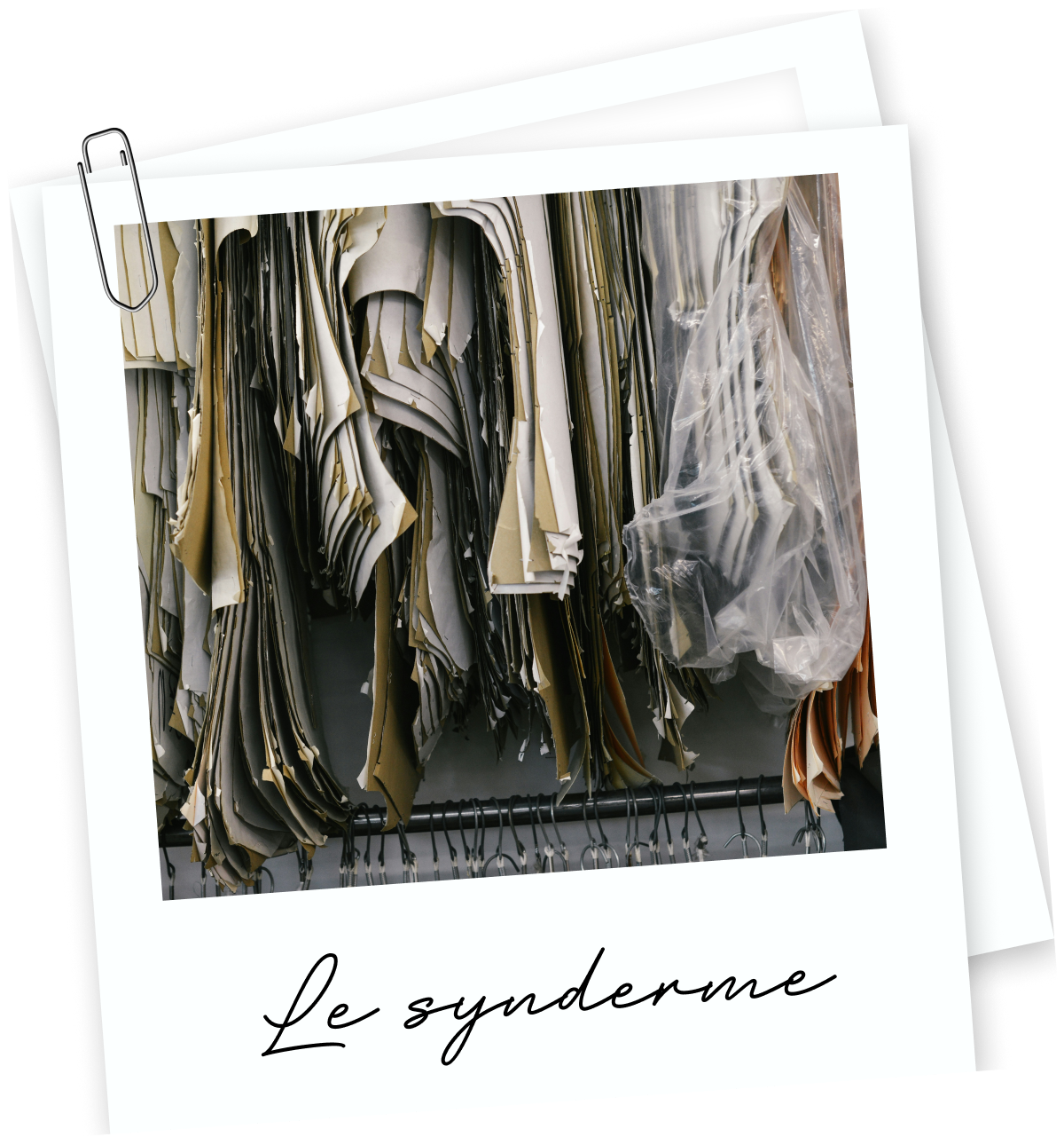 polaroid chutes de cuir pour la création de synderme