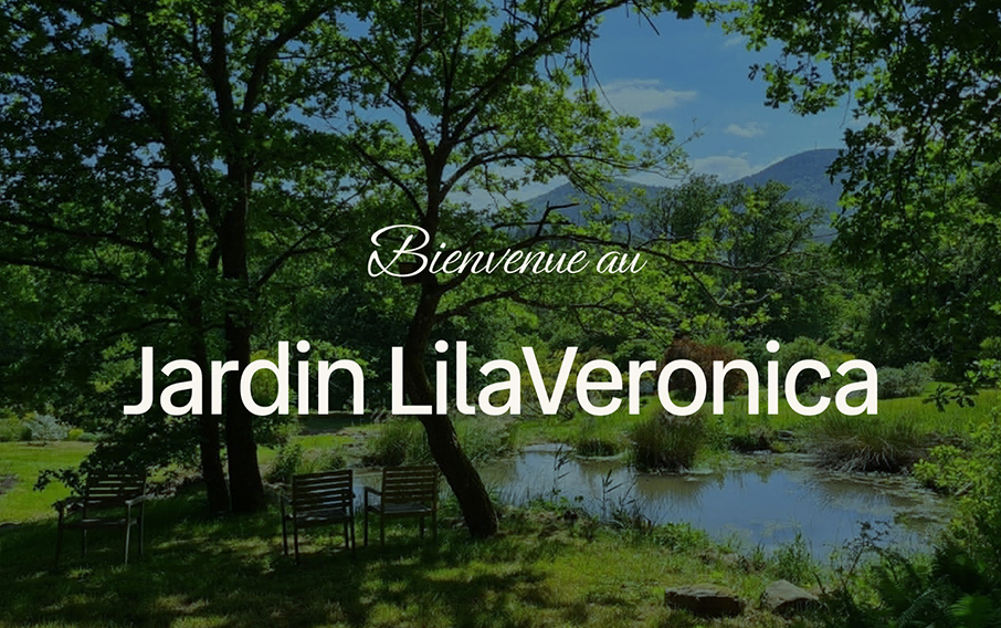 Découvrir le projet du Jardin Lilaveronica